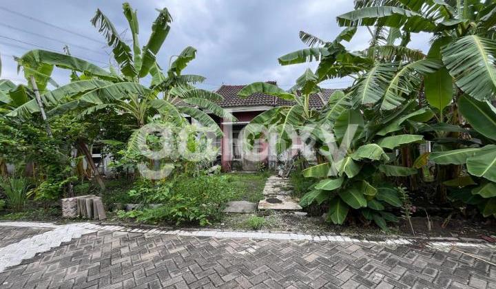 Land Count House Anggun Sejahtera Rembang Pasuruan 6 Units