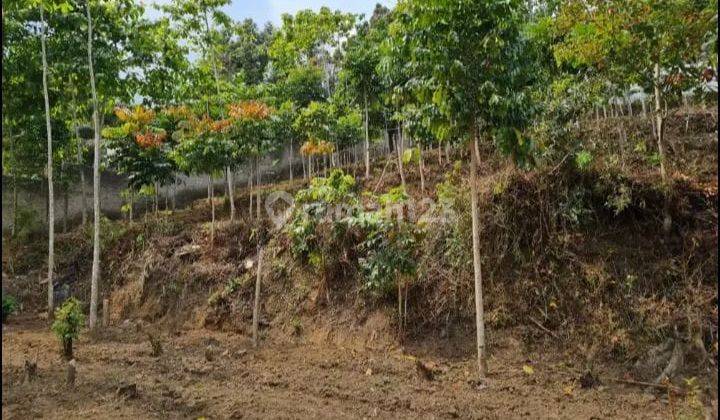 Rumah villa Ciwidey bandung sejuk dan alami  9
