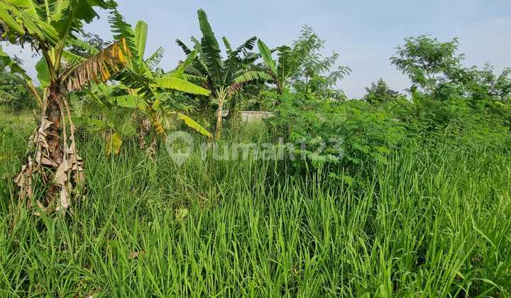 Dijual Tanah Kavling Siap Bangun Lokasi Strategis di Gajah Mekar Kutawaringin Bandung