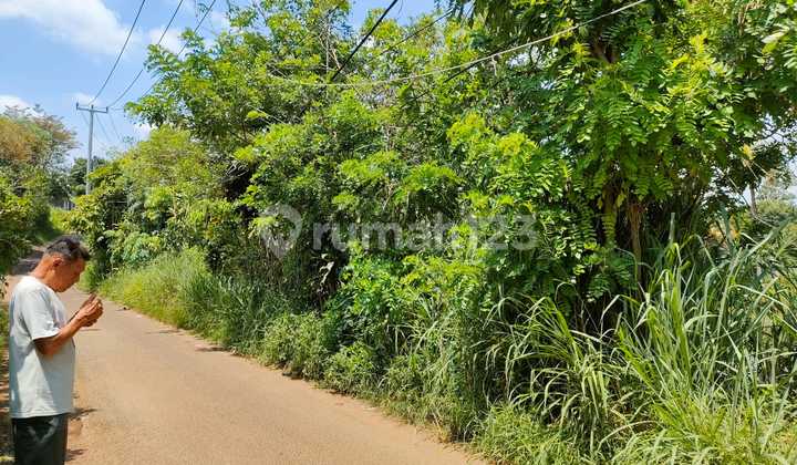 Tanah Luas dan Bagus Parung