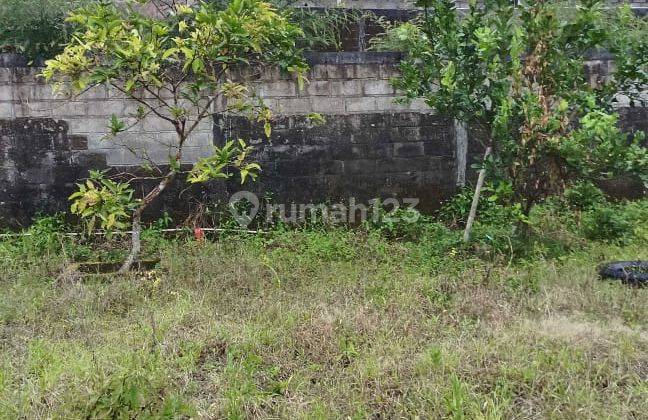 TANAH BAGUS UNTUK VILA,RUMAH TINGGAL,HOMESTAY 1