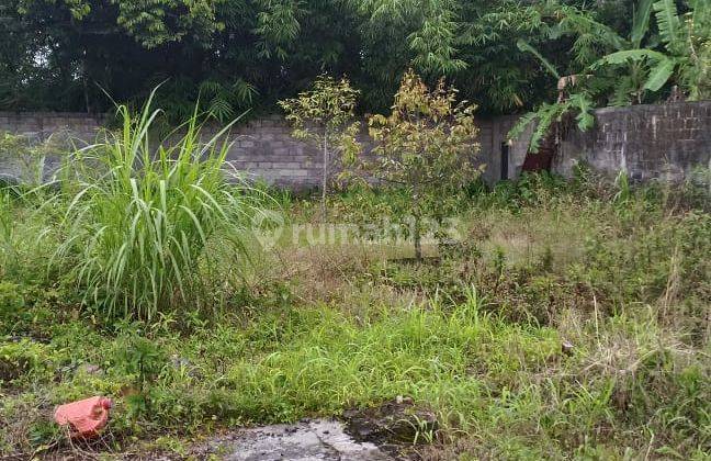 TANAH BAGUS UNTUK VILA,RUMAH TINGGAL,HOMESTAY 2