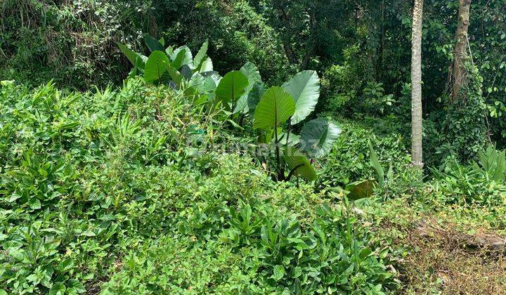 TANAH LUAS COCOK UNTUK RESORT DEKAT AMANJIWO  2
