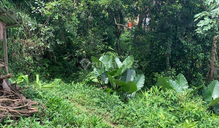 TANAH LUAS COCOK UNTUK RESORT DEKAT AMANJIWO  3