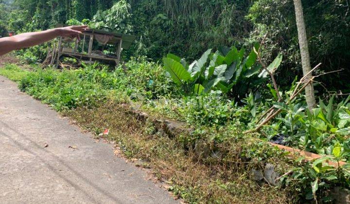 TANAH LUAS COCOK UNTUK RESORT DEKAT AMANJIWO  1