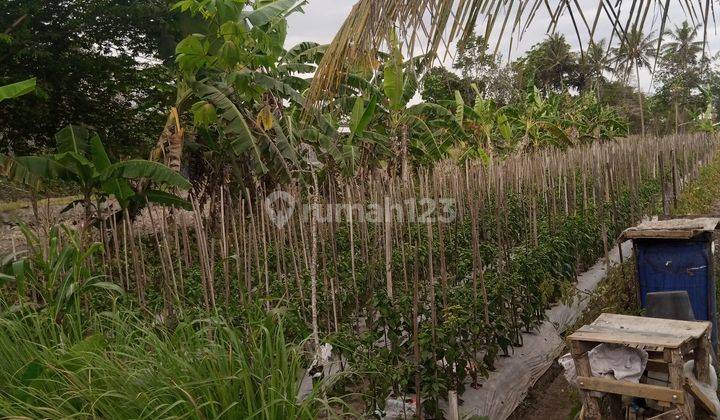 Tanah Dijual Dekat Kampus Uii Jakal  1