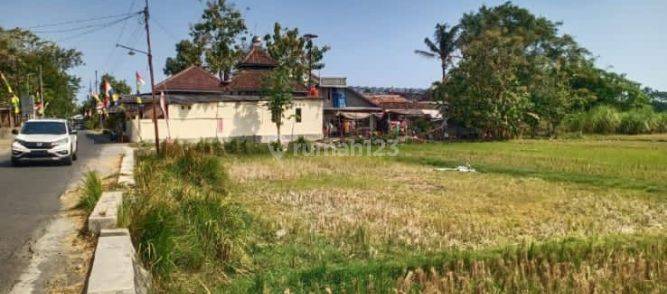 Tanah dekat kampus UMY Dijual di Jl.Tamantirto Kasihan Bantul 1