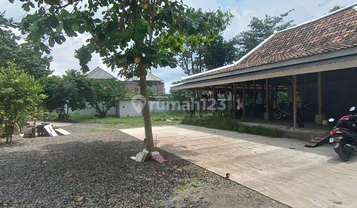 Disewakan Ruang Usaha Luas Area Kuliner Di Condongcatur Depok Sleman 2