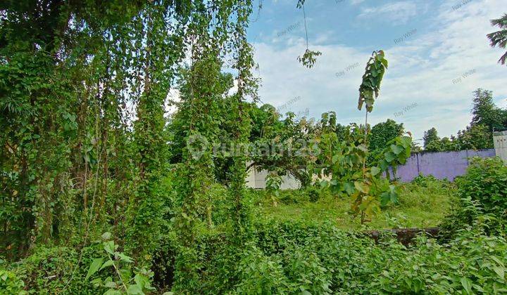 Dijual Tanah Luas Mangku Jl Jogja Solo Km 12 2