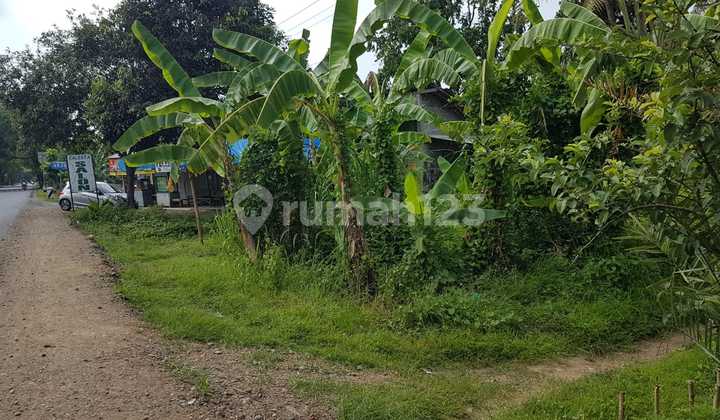 Tanah Pekarangan Luas 1175 Meter Persegi Lokasi Dekat Stasiun Wojo Purworejo 