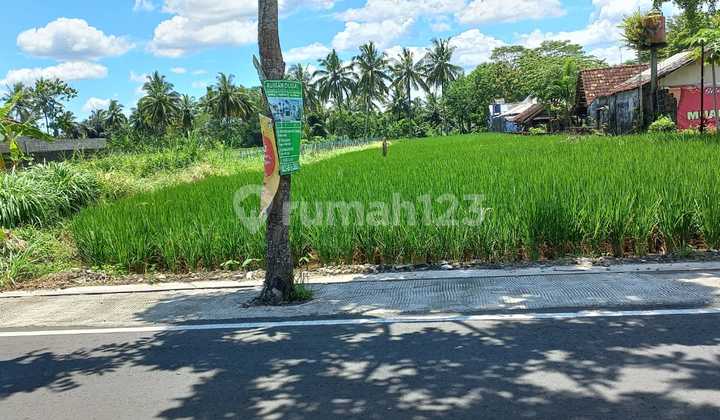 Land by Pandowoharjo Road Near Jejamuran Resto