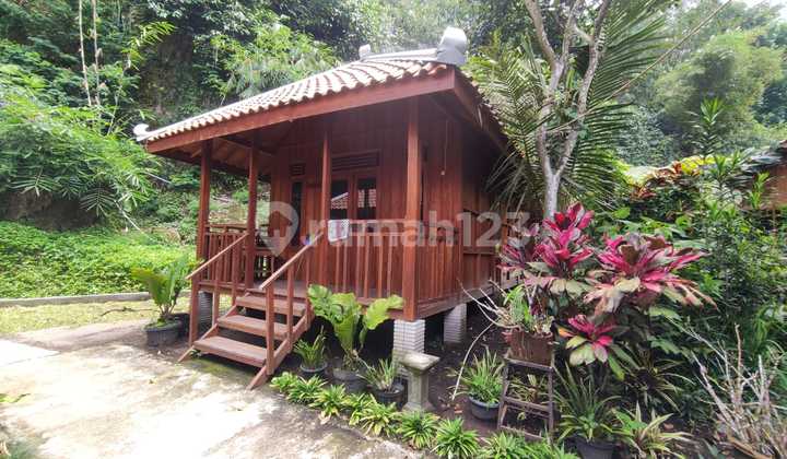 Own a Charming Villa in the Ledok Sambi Tourism Area, Umbulharjo, Cangkringan, Sleman.