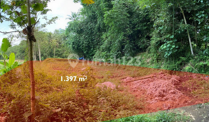 Investasi Tanah Luas 1397 Meter Persegi di Tuksongo, Borobudur, Magelang - Hanya 2.5 km dari Candi Borobudur