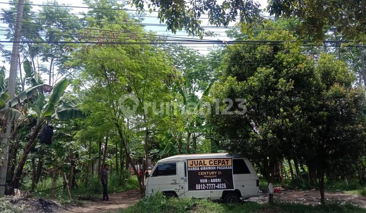 Jarang Ada! Tanah Strategis di Soreang Siap Bangun dekat Tol Soreang Jarang Ada! Tanah Strategis di Soreang Siap Bangun dekat Tol Soreang