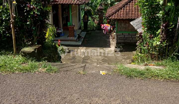 Rumah murah bonus tanah 1