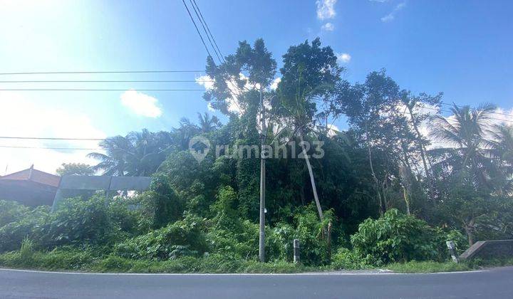 Land in a good location, tourist area near the center of Ubud