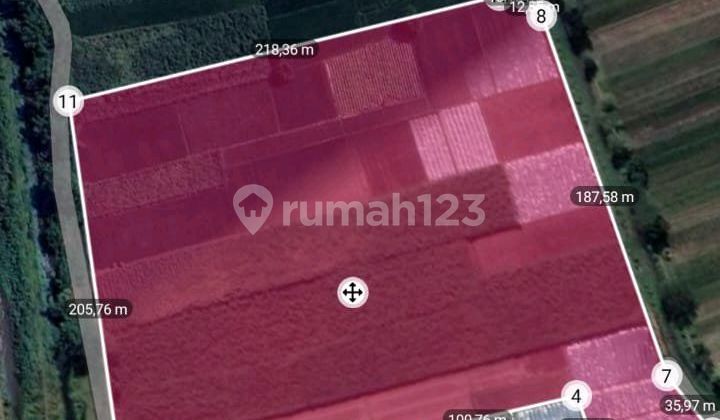 Dijual Tanah Bandar Kedungmulyo Jombang 1