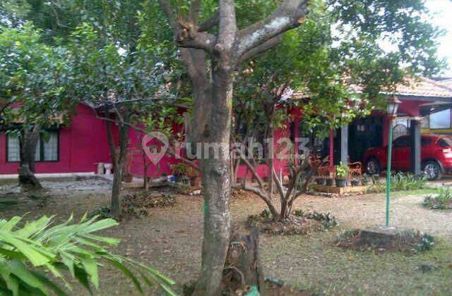 Land for Sale with Free House Bonus in Cilobak, Pangkalan Jati, Depok. Negotiable Price. 2