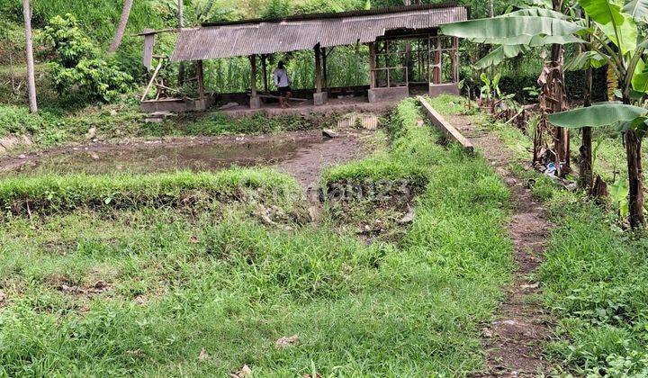 Tanah Kebun Murah Dekat Kota Malang 2