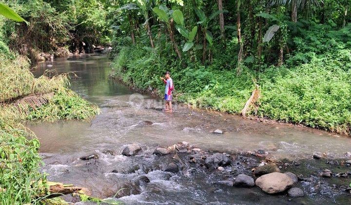 Tanah Kebun Murah Dekat Kota Malang 1