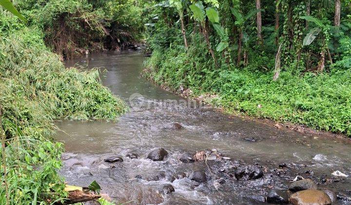 Kebun Buah Plus Kolam Pemancingan Dekat Kota Malang  2