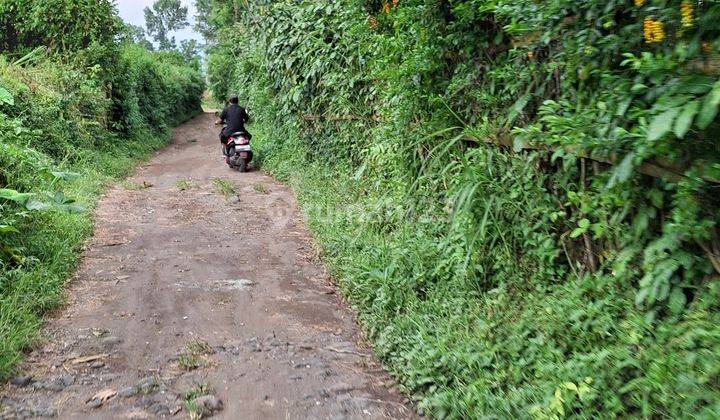 Tanah Kebun Jeruk Murah Dekat Wisata Gunung Bromo Malang 2