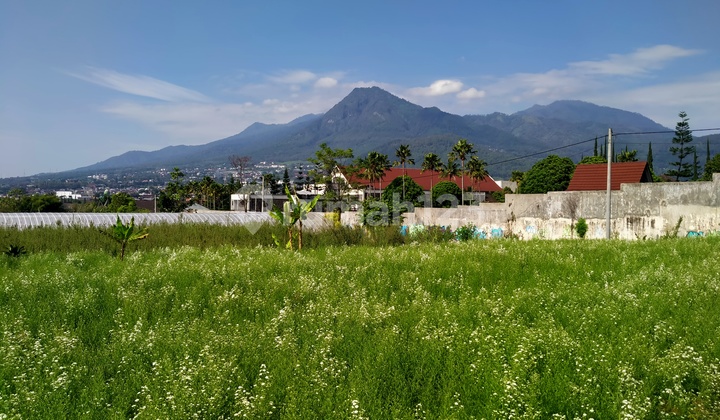 Tanah Kebun Dekat Resto Batu Suki Malang  3