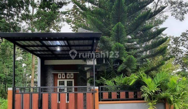 Dijual Rumah Baru Murah Dekat SMAN Taruna Nala Malang  1