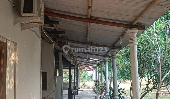 Tanah Bonus Bangunan di Jalan Raya Semarang Purwodadi SHM Gubug 1