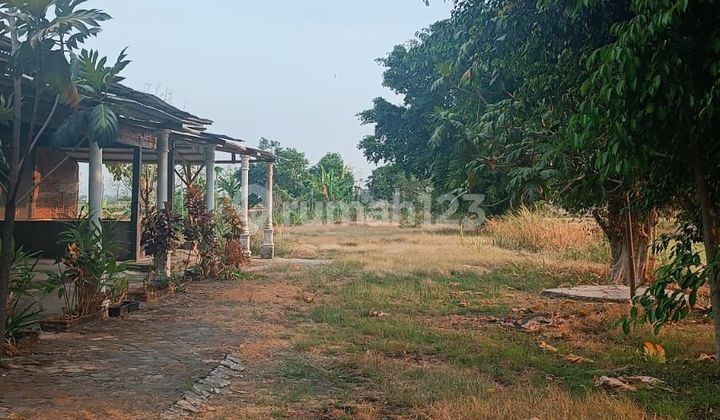 Tanah Bonus Bangunan di Jalan Raya Semarang Purwodadi SHM Gubug 2
