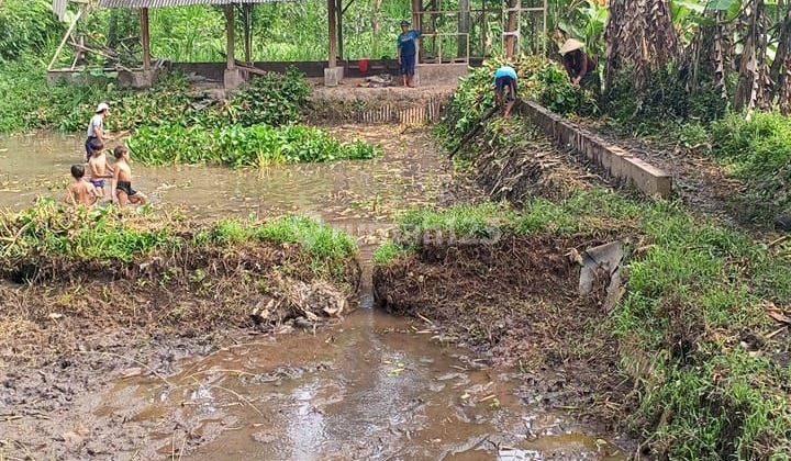 Kebun Plus Kolam Pemancingan Dekat Wisata Sumber Jenon Malang  2