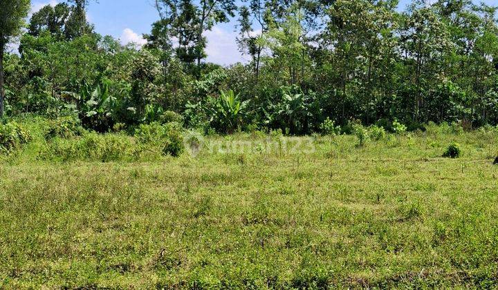 Tanah Kebun Siap Tanam Dekat Wisata Bromo Malang 1