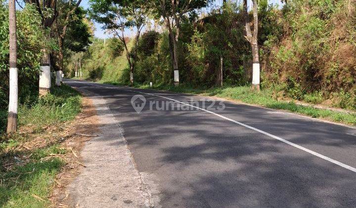 Tanah Kebun Cocok Untuk Cafe Atau Villa Gubug Klakah Bromo 2