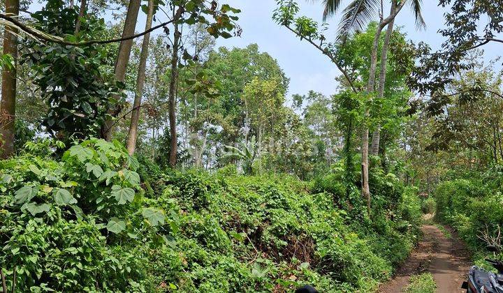 Dijual Kebun Aneka Buat Di Tajinan Malang  1