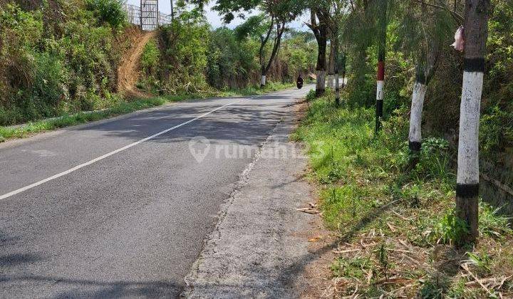 Tanah Kebun Cocok Untuk Cafe Atau Villa Gubug Klakah Bromo 1