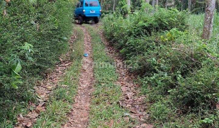 Tanah Kebun Siap Tanam Dekat Wisata Bromo Malang 2