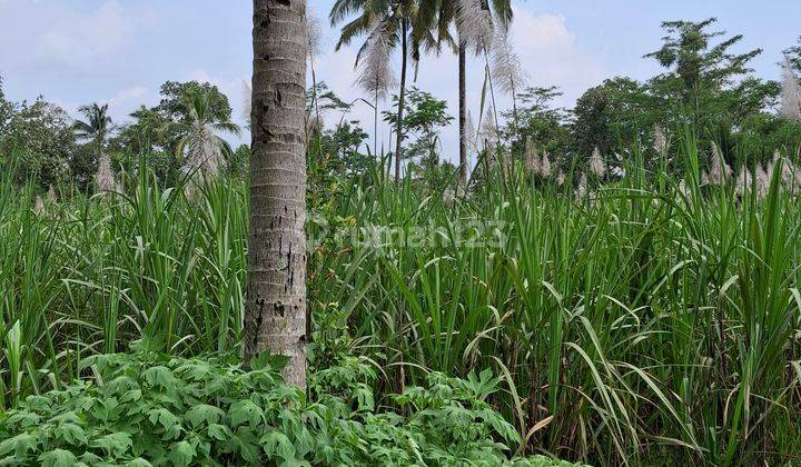 Tanah Kebun Murah Dekat Wisat Kota Malang 1