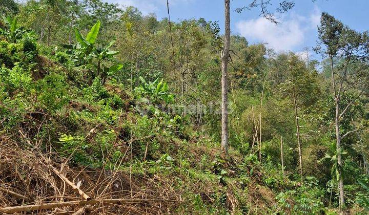 Tanah Kebun Murah Dekat Pasar Tajinan Malang  2