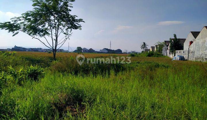 Dijual Tanah Istimewa Dekat Smpn 17 Malang 2