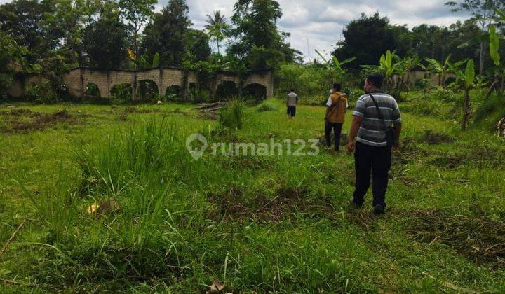 TURUN HARGA DI JUAL TANAH CIDAHU SUKABUMI JAWA BARAT 1