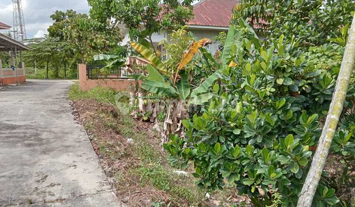 Dijual Tanah Dibelakang KFC Rumbai 1