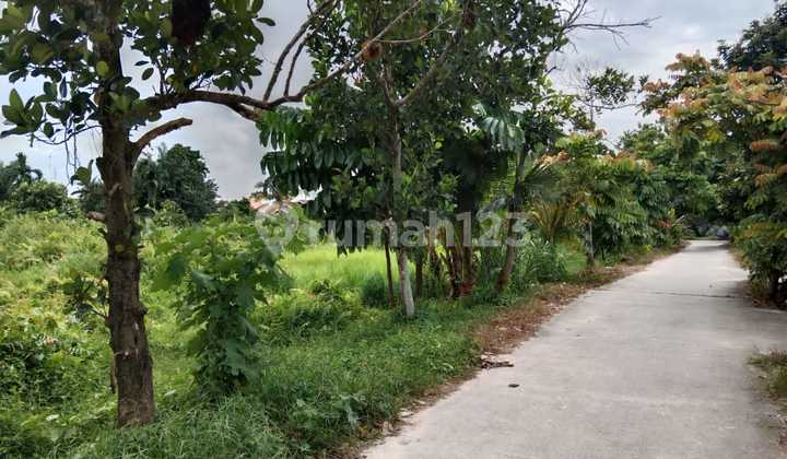 Dijual Tanah Di Kawasan Rumbai Cocok Untuk Investasi 4