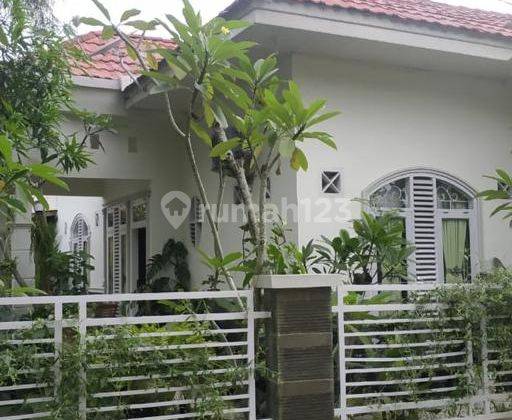 Rumah Cantik Bernuansa Tropis 4