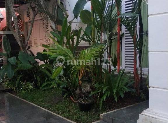 Rumah Cantik Bernuansa Tropis 6
