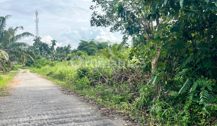 Dijual Cepat Tanah Dekat Universitas Awal Bross