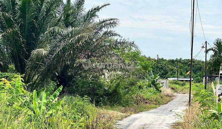 Dijual Tanah Di Jalan Labersa Dekat Kantor Bnn Baru 2