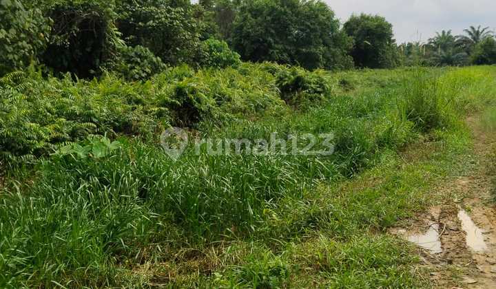 Dijual Tanah Lokasi Strategis Dekat Simpang Tiga