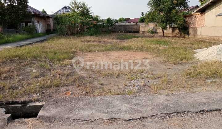 Tanah.jual Dekat Jalan Nangka Tanah.jual Dekat Jalan Nangka