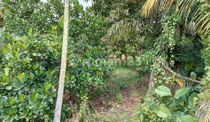 Dijual Tanah Dibelakang KFC Rumbai 2