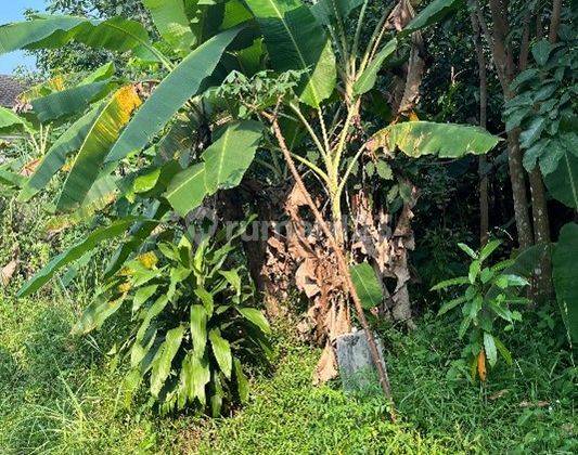 Kavling siap bangun, cocok untuk cluster di Tajur Bogor 2